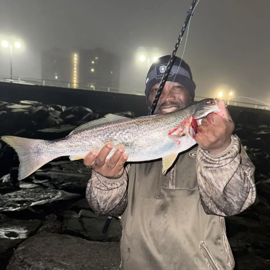 Atlantic City Bait & Tackle Shop | One Stop Bait & Tackle